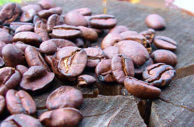 Can Quitting Make You a Better Man?