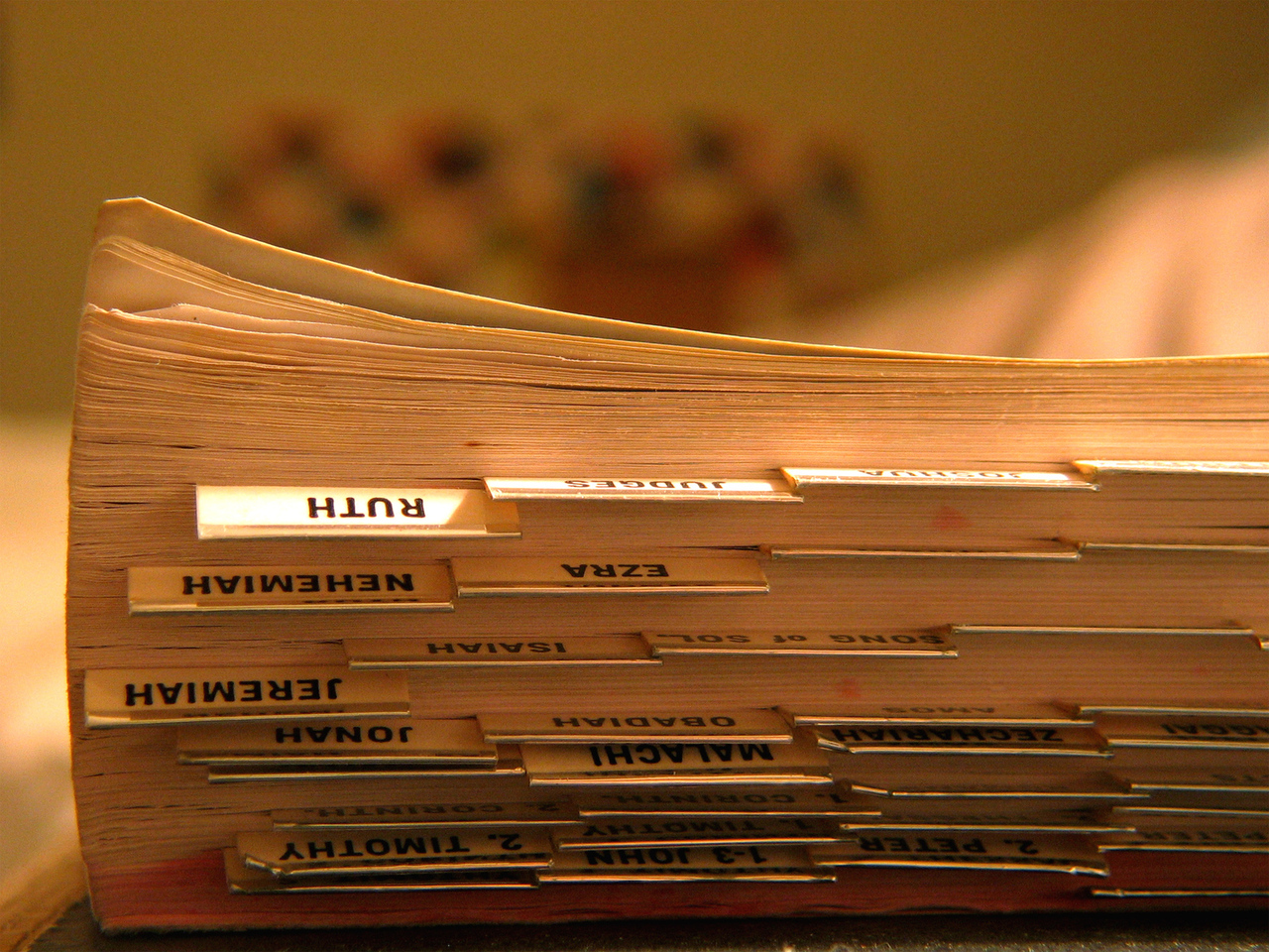 Scriptures on wisdom