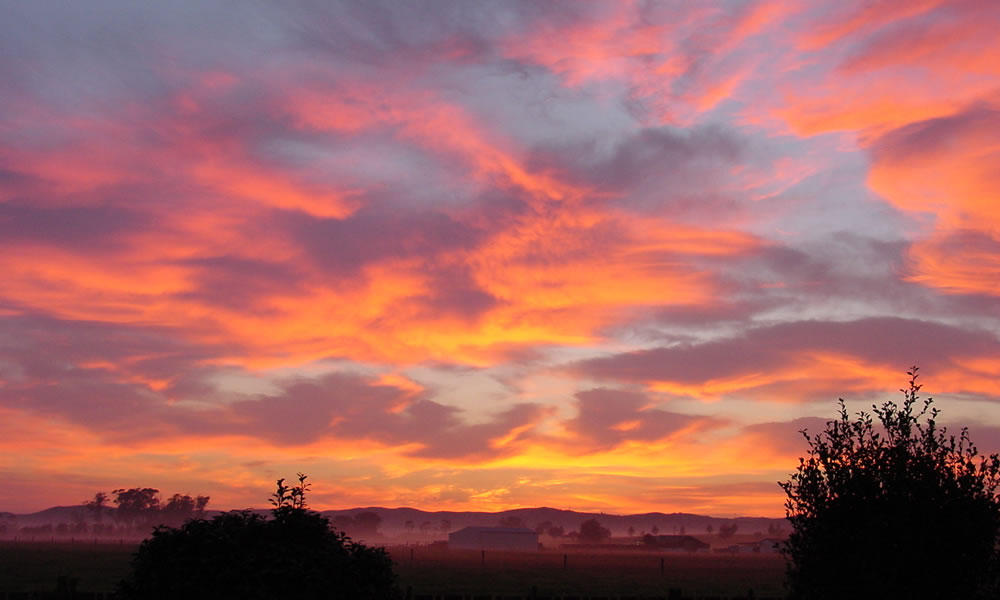 You Need to Become a Morning Person