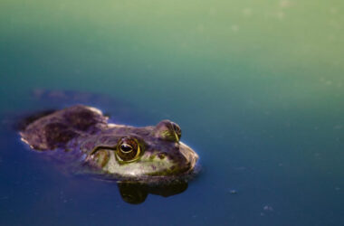 Being still: doing nothing misses something