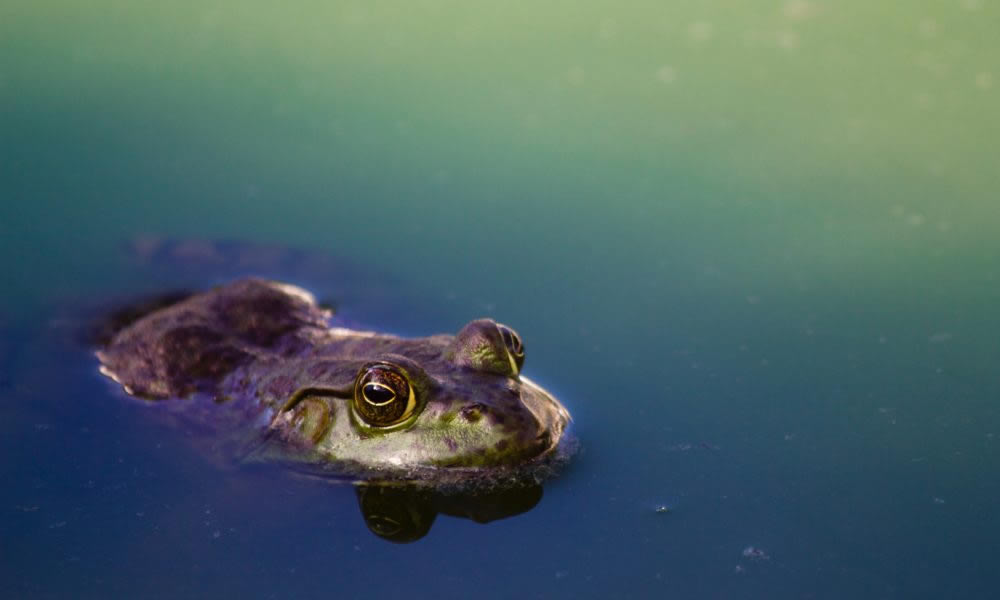 Being still: doing nothing misses something