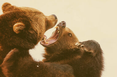 better is open rebuke