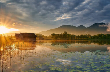 having a meaty, meaningful morning